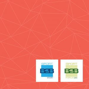 КРУГЛЫЙ СТОЛ на SportB2B_web